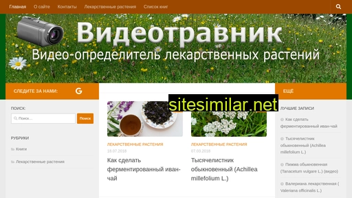 videotravnik.ru alternative sites