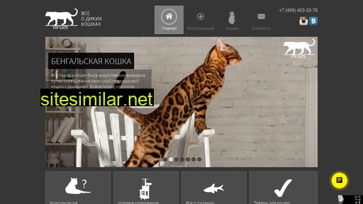 vip-cats.ru alternative sites