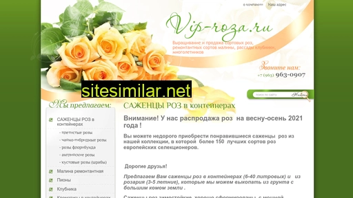 vip-roza.ru alternative sites