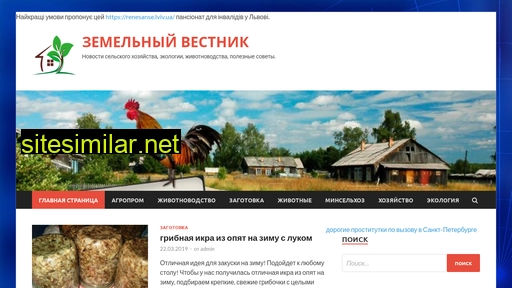 vk-br.ru alternative sites