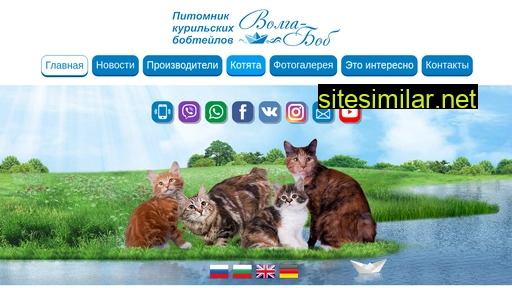 volga-bob.ru alternative sites