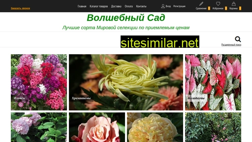 volshebnyi-sad.ru alternative sites