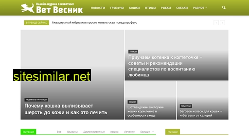 voronezhvet.ru alternative sites