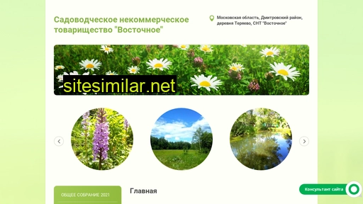 vostochnoe-dmitrov.ru alternative sites