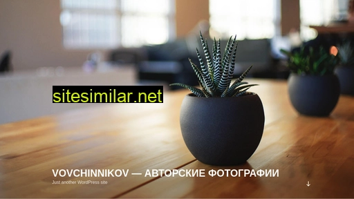 vovchinnikov.ru alternative sites