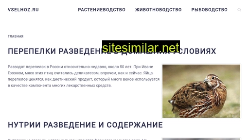 vselhoz.ru alternative sites