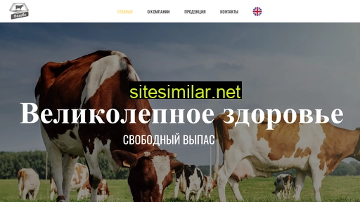 vyazovo.ru alternative sites