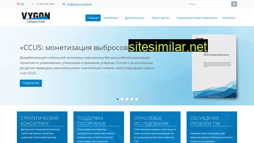 Vygon-consulting similar sites