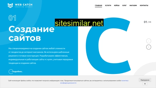 webcatch.ru alternative sites