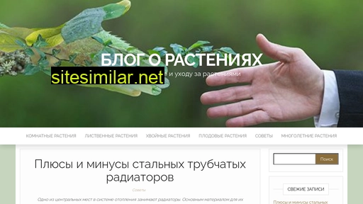 wheelremote.ru alternative sites