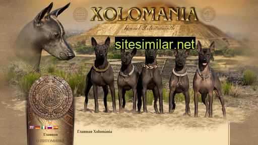 Xolomania similar sites