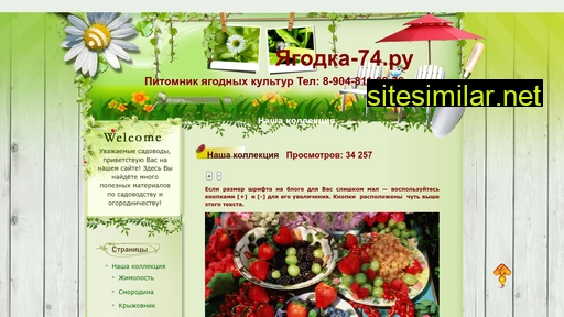 yagodka-74.ru alternative sites