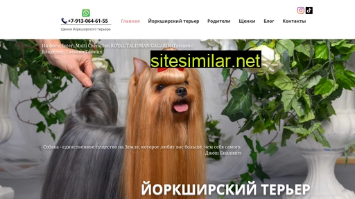 yorkinsk.ru alternative sites