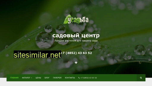 ysadba.ru alternative sites