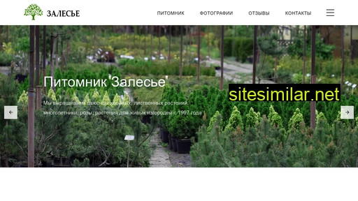 zalesie39.ru alternative sites