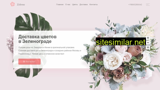zelrose.ru alternative sites