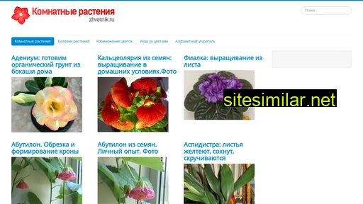 zhvetnik.ru alternative sites