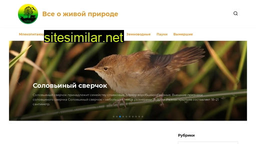 zooinf.ru alternative sites