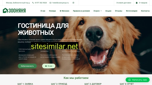 zoonyanya.ru alternative sites