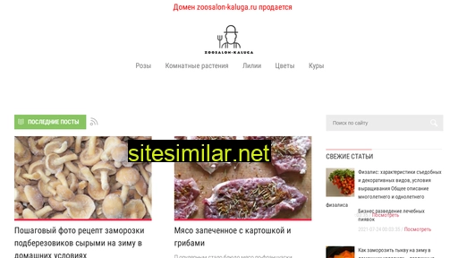 zoosalon-kaluga.ru alternative sites
