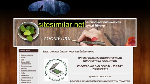 zoomet.ru alternative sites