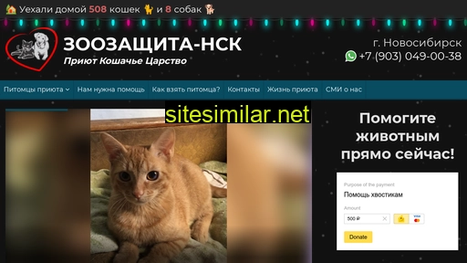 zznsk.ru alternative sites