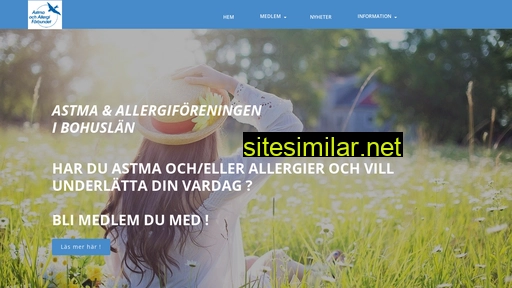aaib.se alternative sites
