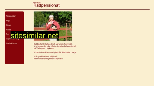 agnetaskattpensionat.se alternative sites