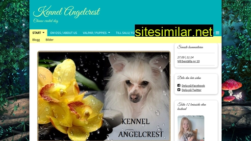 angelcrest.se alternative sites