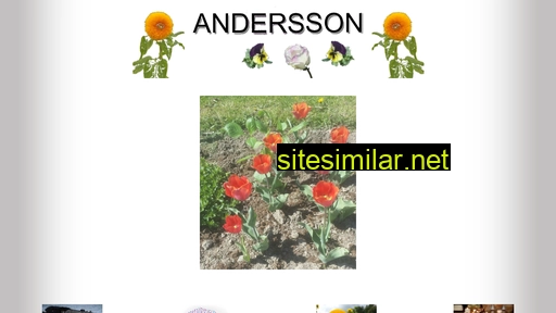 A-andersson similar sites