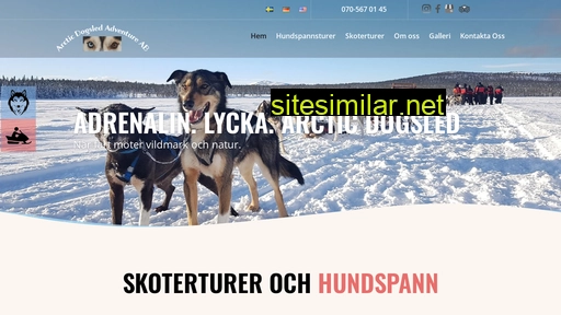 arcticdogsled.se alternative sites