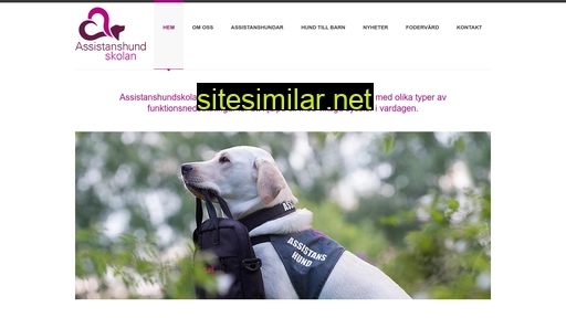 assistanshundskolan.se alternative sites