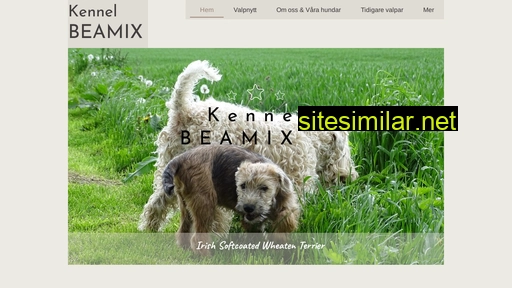 Beamix similar sites