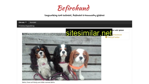 befirohund.se alternative sites