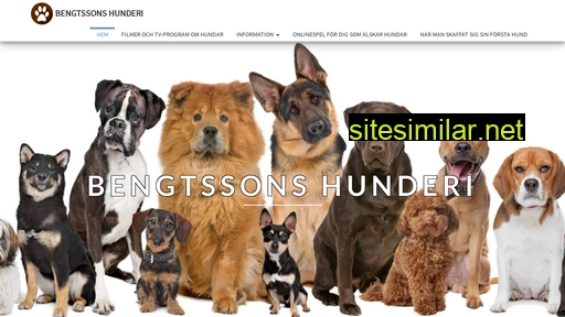 bengtssons-hunderi.se alternative sites