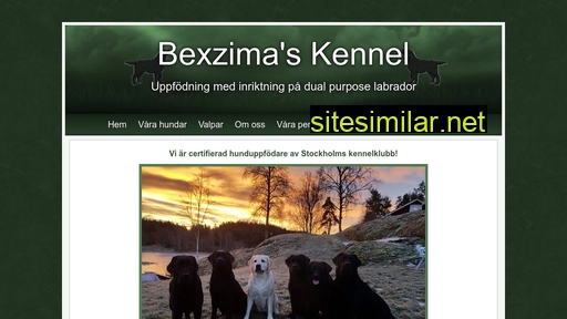 bexzima.se alternative sites