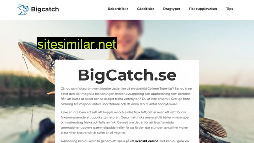 bigcatch.se alternative sites