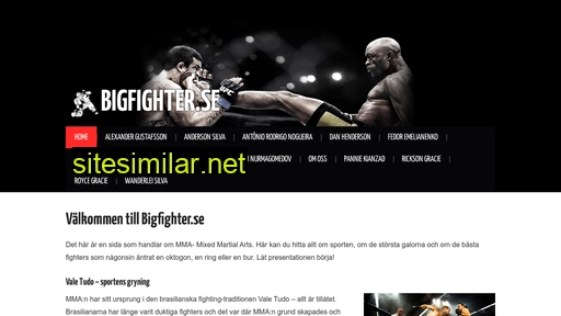 bigfighter.se alternative sites