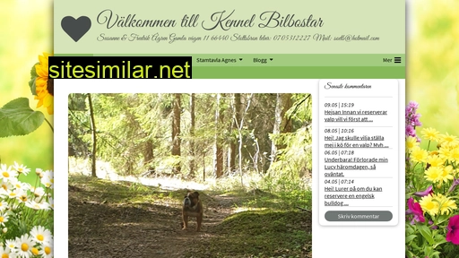 bilbostar.se alternative sites
