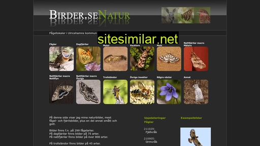 birder.se alternative sites