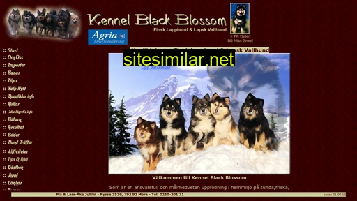 blackblossom.se alternative sites