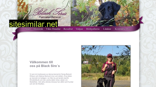 blacksires.se alternative sites