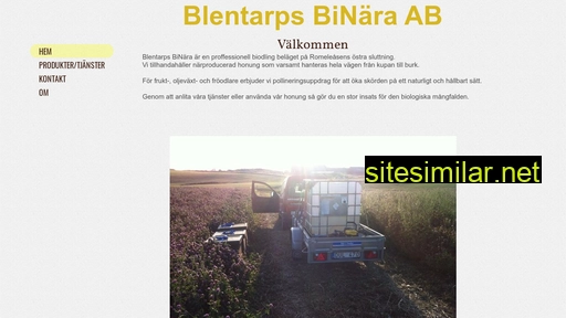 blentarpsbinara.se alternative sites