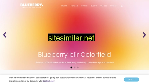 blueberrylifestyle.se alternative sites