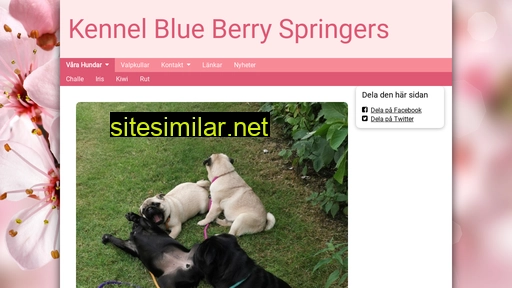 blueberryspringers.se alternative sites