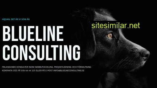 bluelineconsulting.se alternative sites