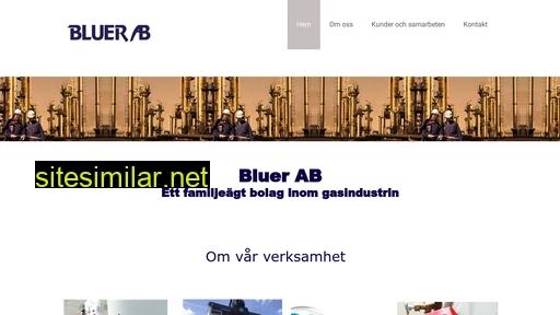 bluer.se alternative sites