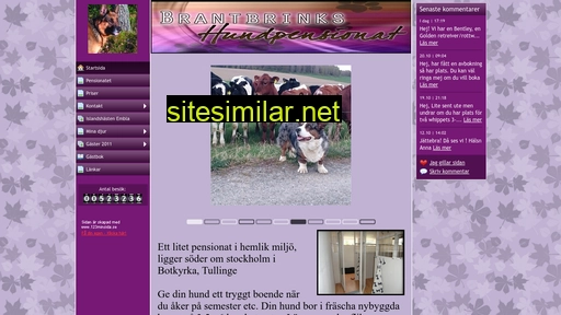 brantbrinkshundpensionat.se alternative sites
