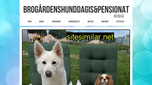 brogardenshunddagispensionat.se alternative sites