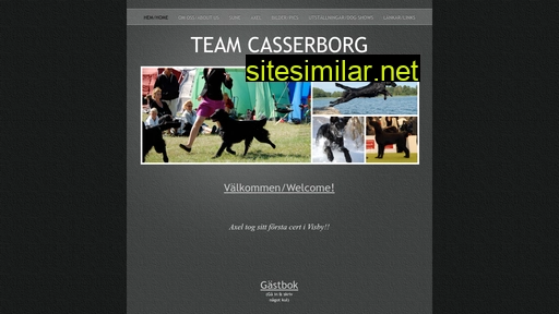 casserborg.se alternative sites